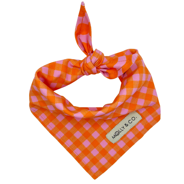 Mango - Reversible Dog Bandana