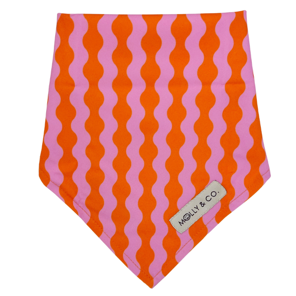 Mango - Reversible Dog Bandana