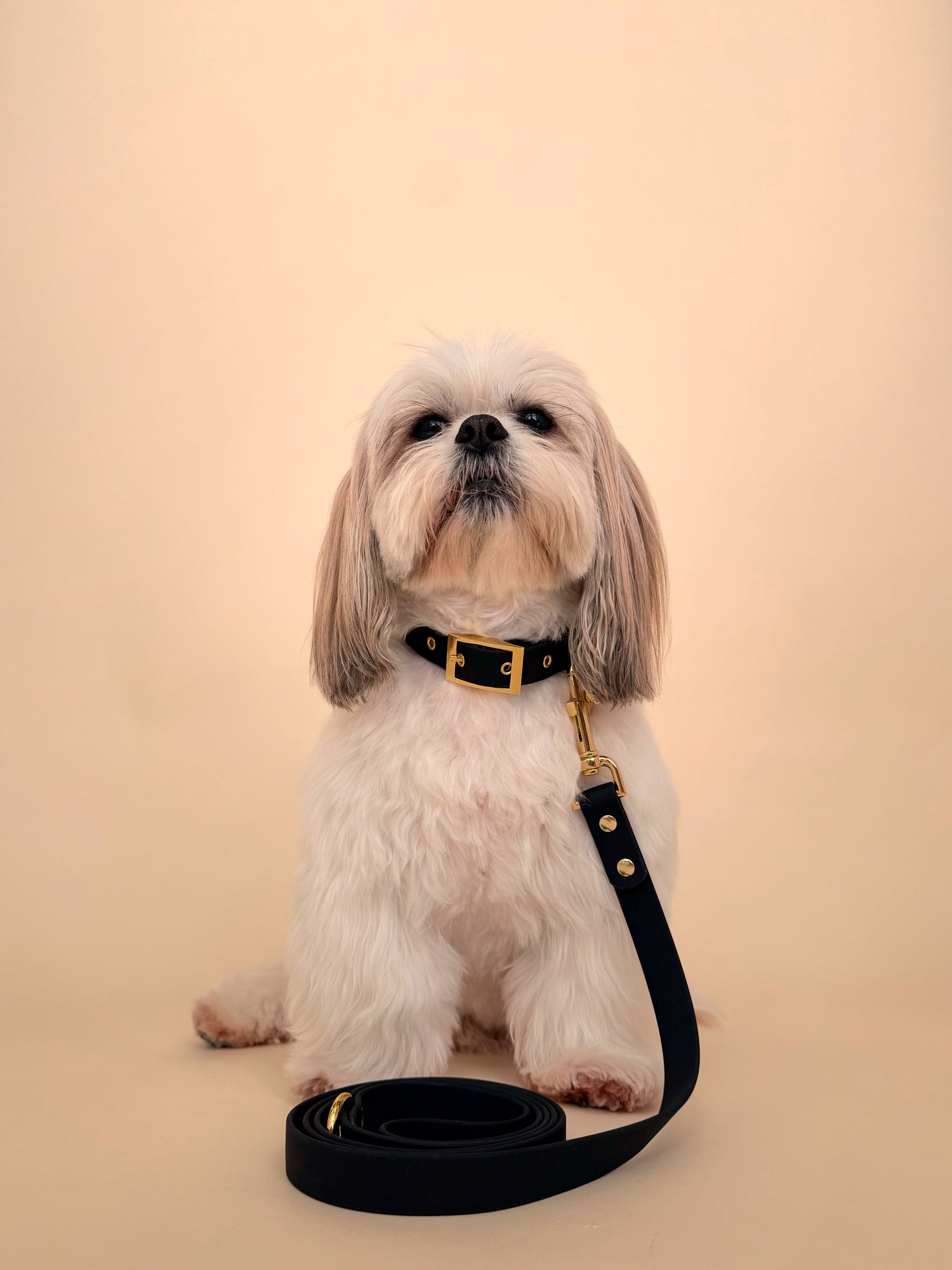 Midnight - Splashproof Bundle