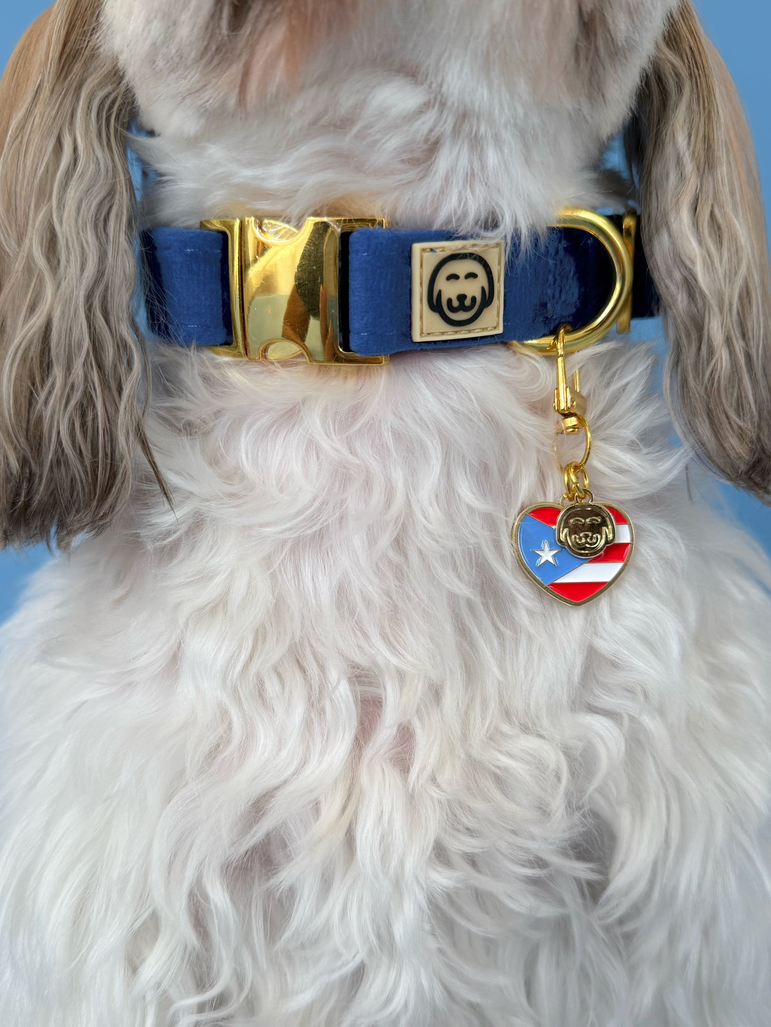 I Love PR - Collar Charm