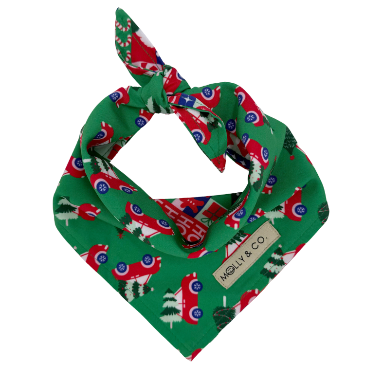 Merry Mischief - Reversible Dog Bandana