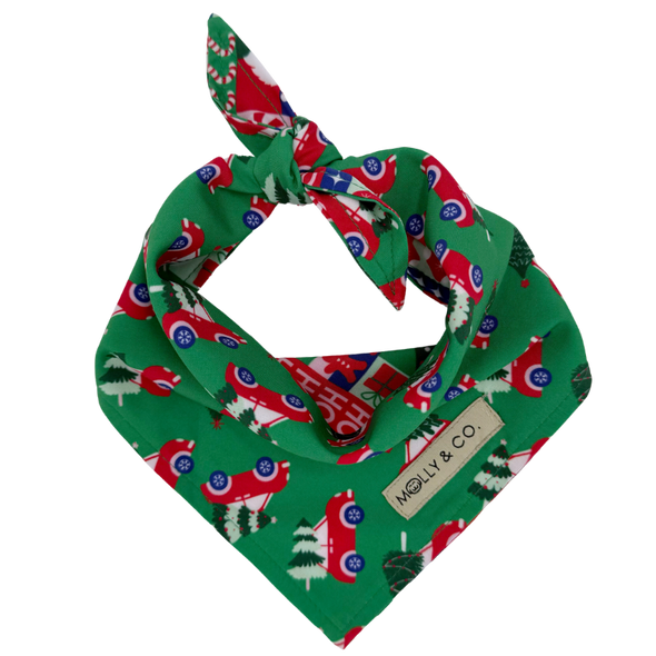 Merry Mischief - Reversible Dog Bandana