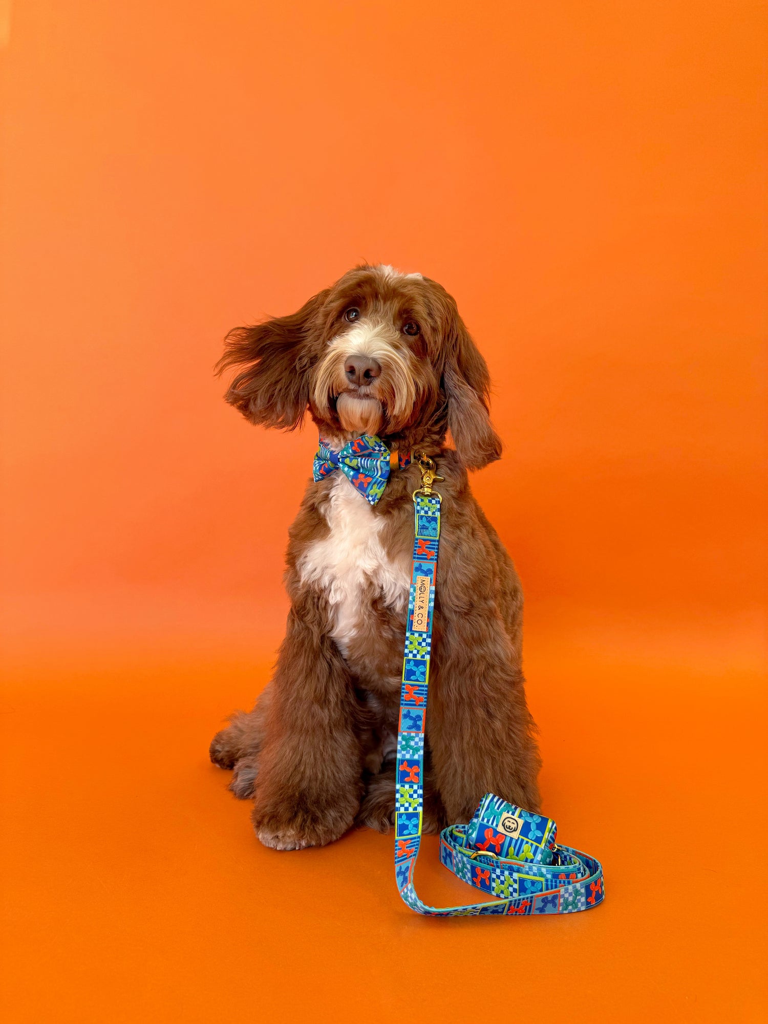 Deluxe Bundle - Neon Pop