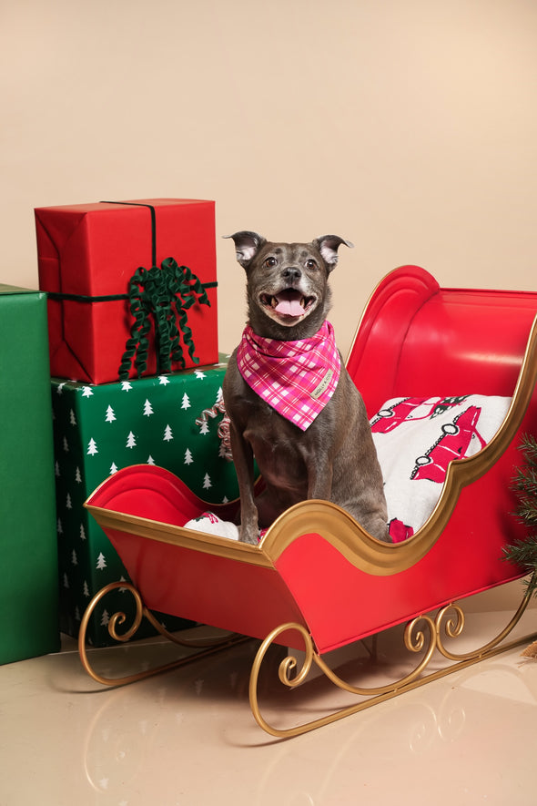 Rosewood Tartan + Gingerbread - Reversible Dog Bandana