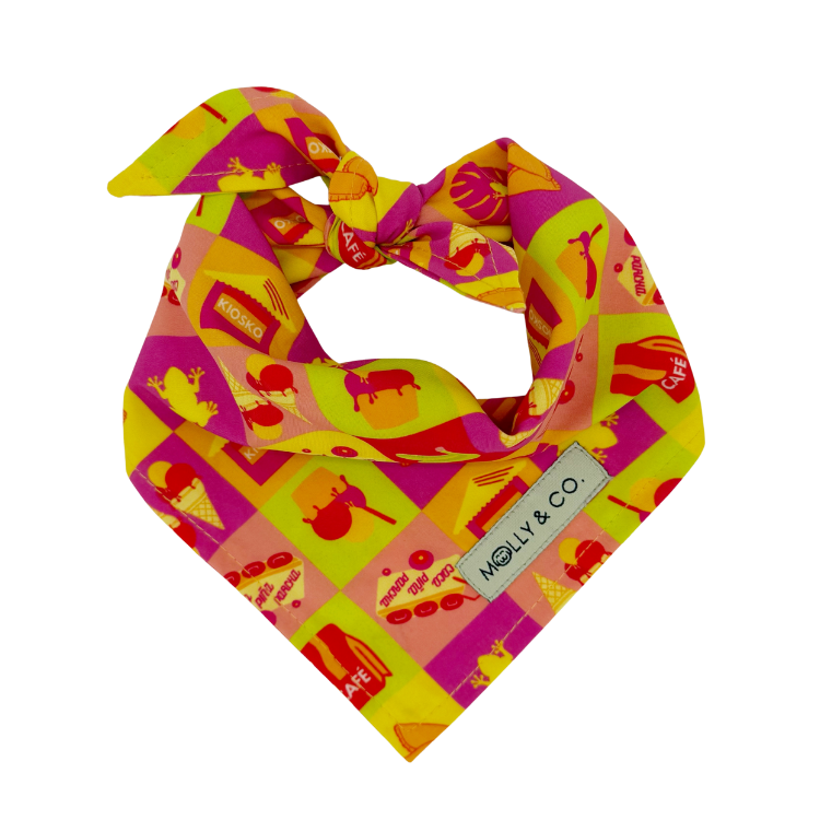 Pe Erre - Reversible Dog Bandana