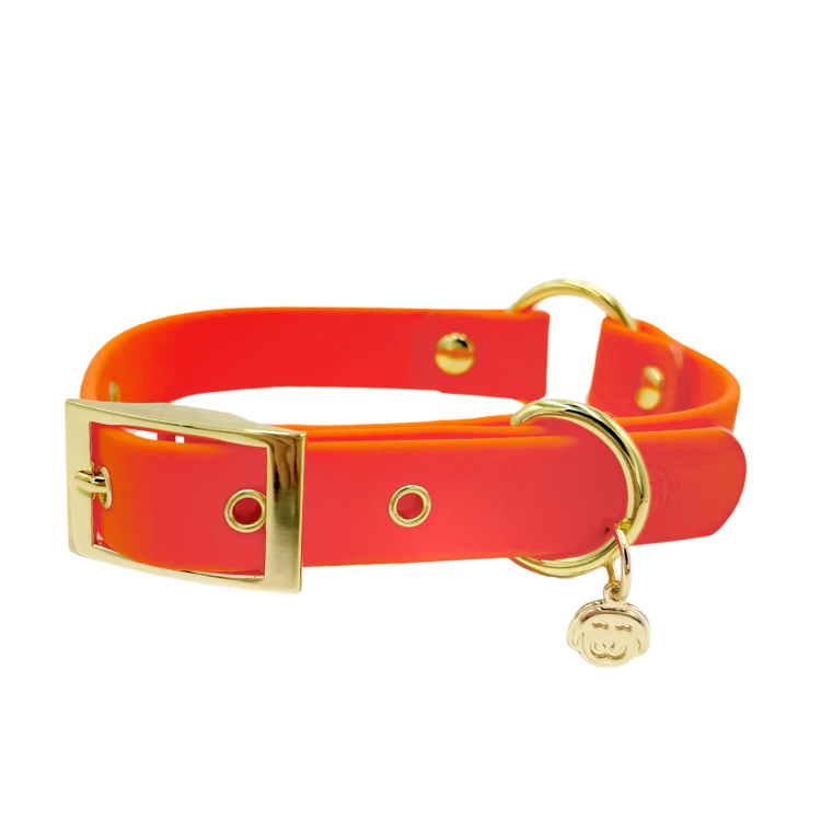 Sunburst - Splashproof Dog Collar