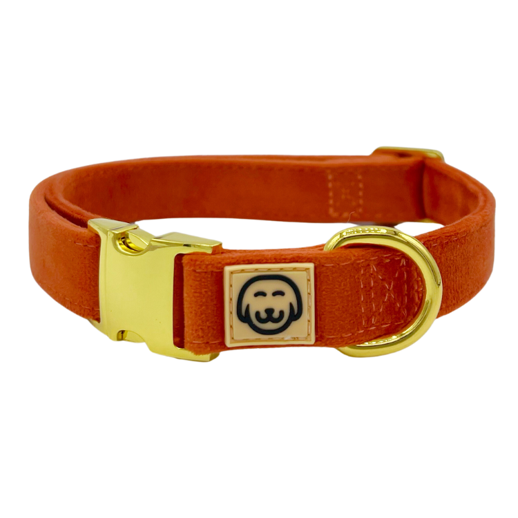 Tangerine Velvet - Dog Collar