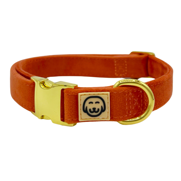 Tangerine Velvet - Dog Collar