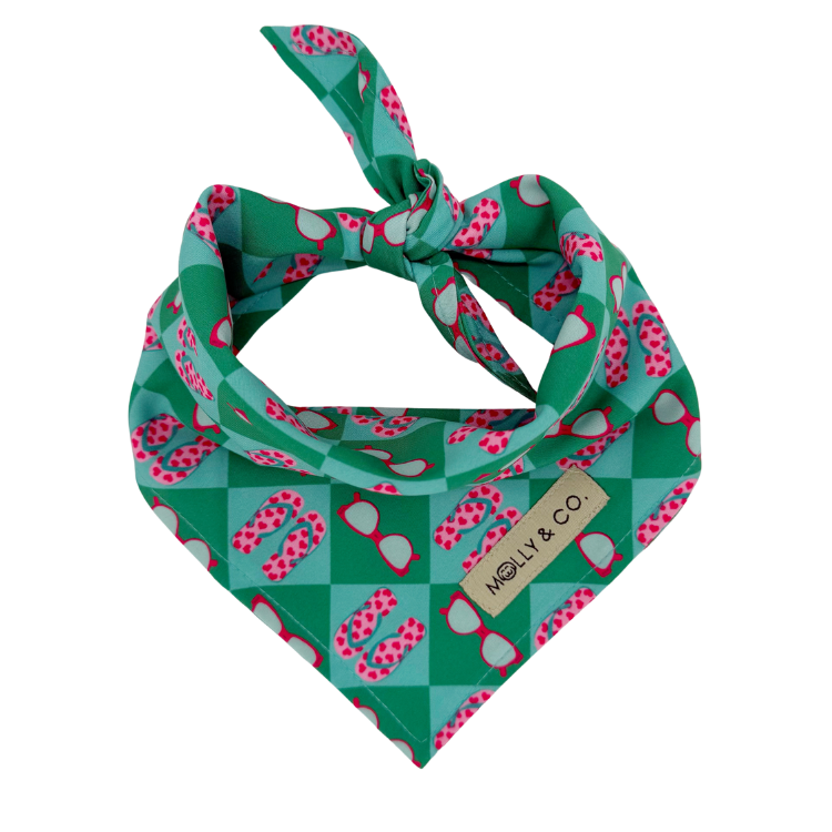 Sunkissed - Dog Bandana
