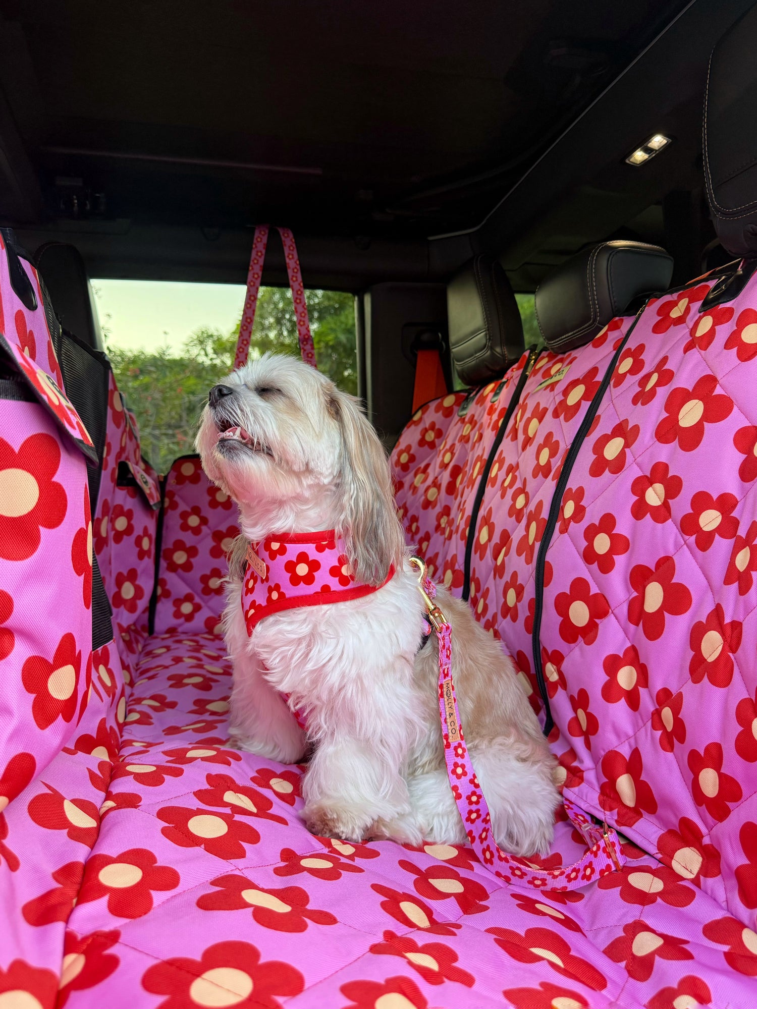 Wildflower - Dog Seatbelt