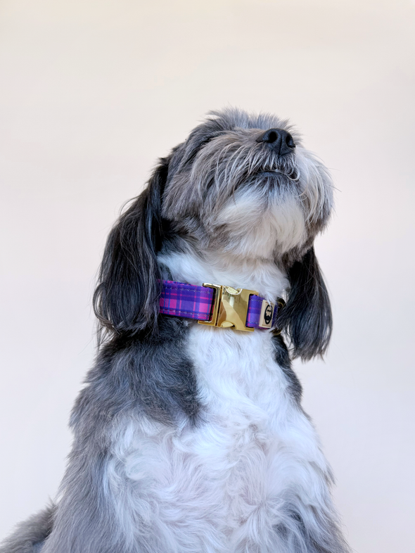 Pinkberry Plaid - Dog Collar