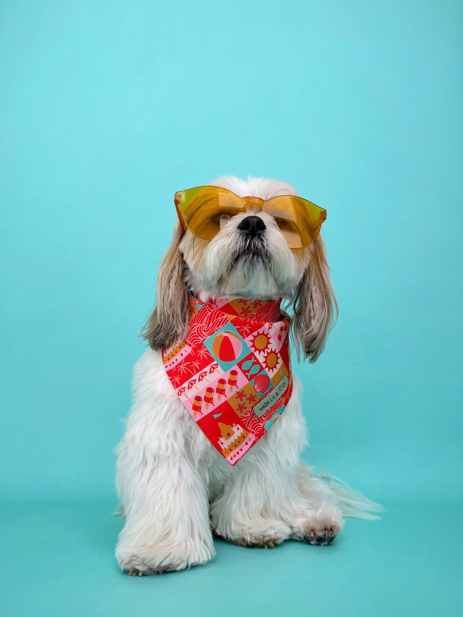 Sandbar - Dog Bandana