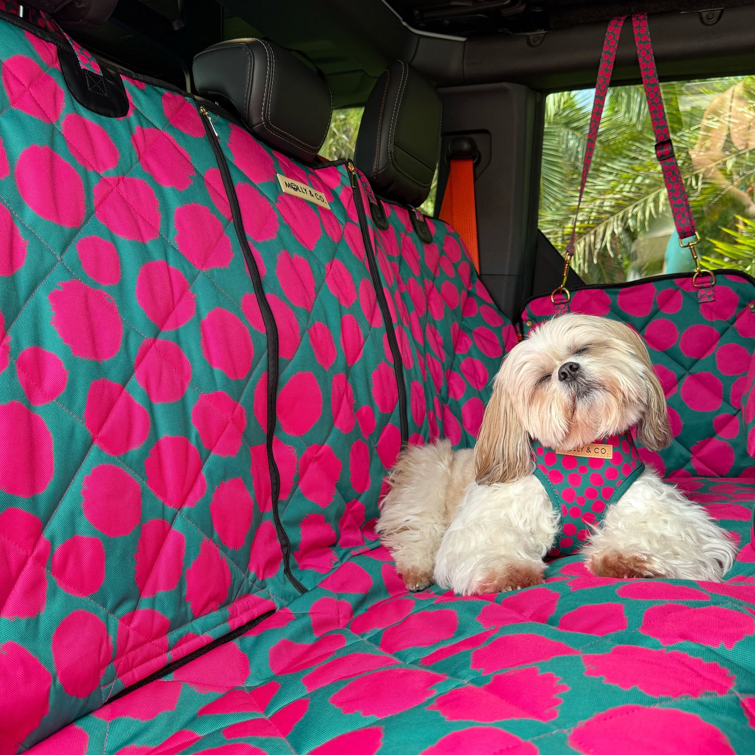 Polka Dogz - Dog Car Seat Cover