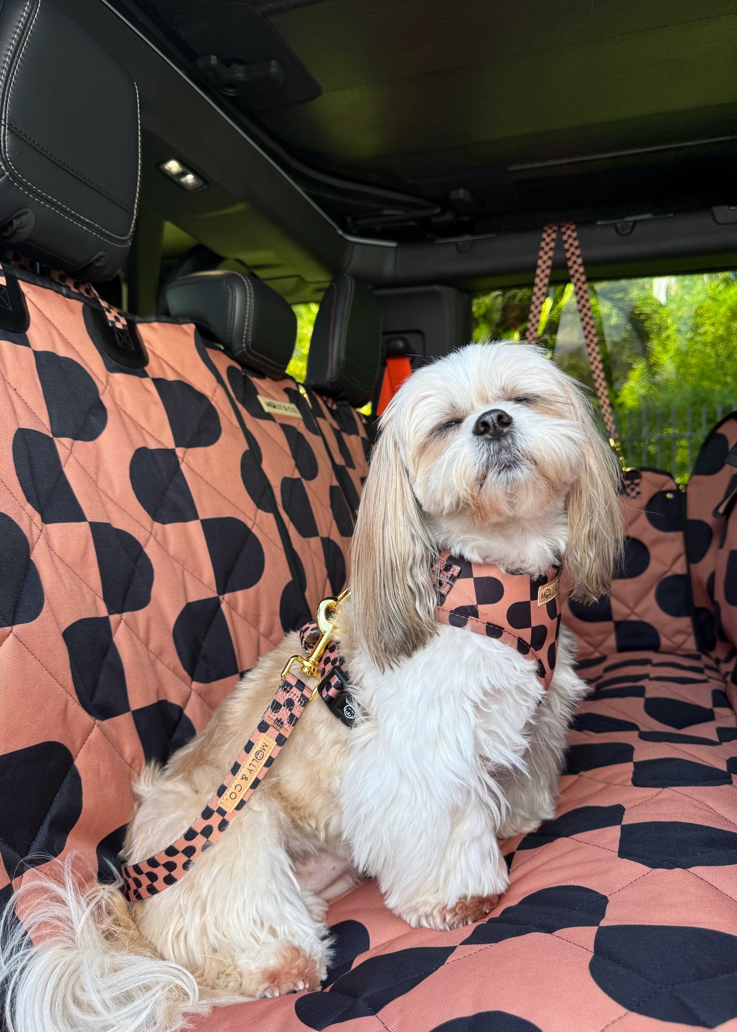 Moonrise - Dog Seatbelt