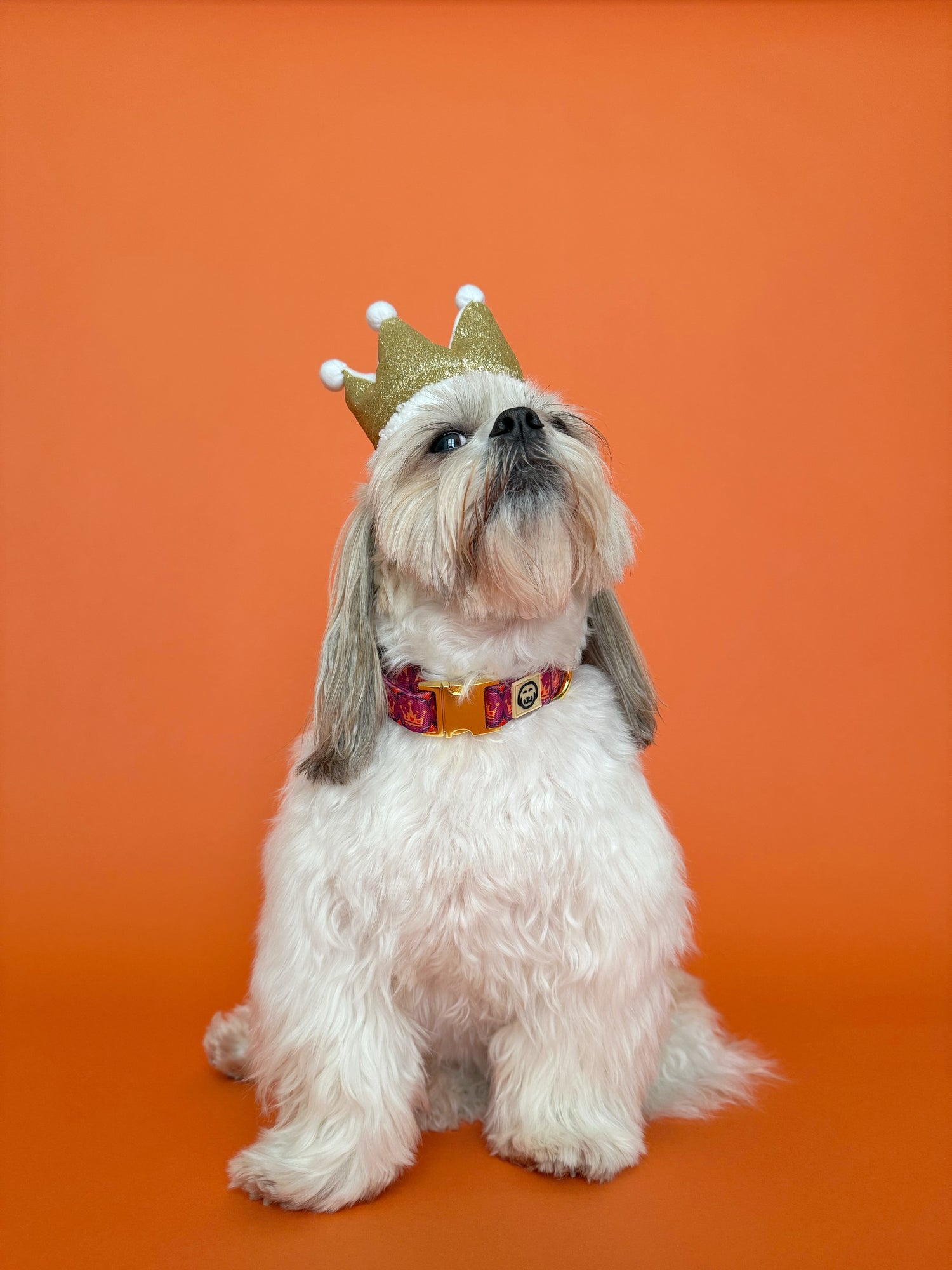 Royal Queen - Dog Collar