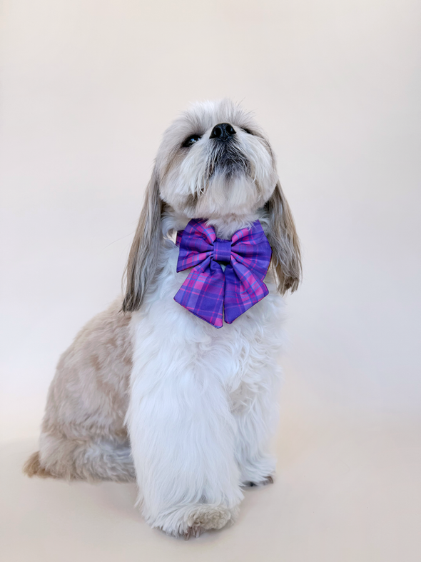 Pinkberry Plaid - Dog Sailor Bowtie