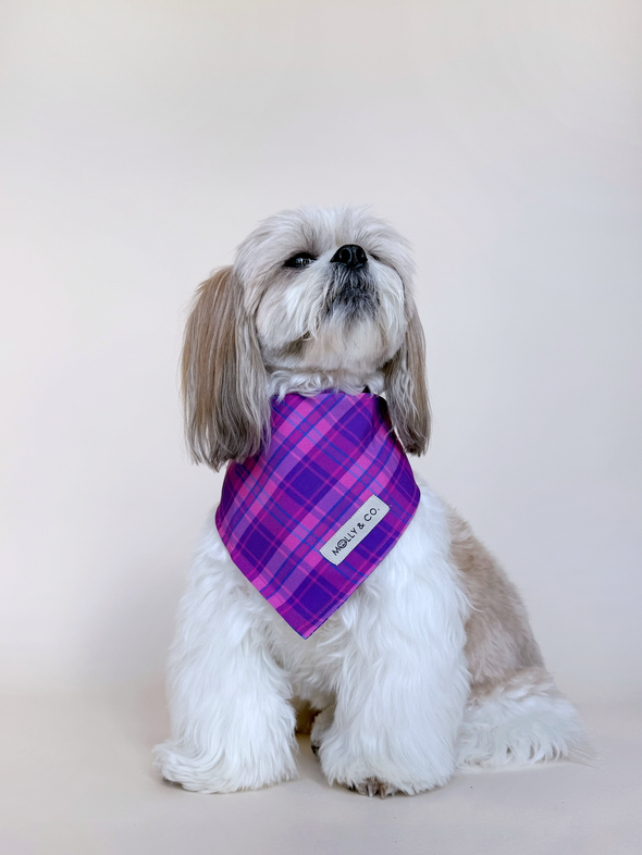 Pinkberry Plaid - Dog Bandana