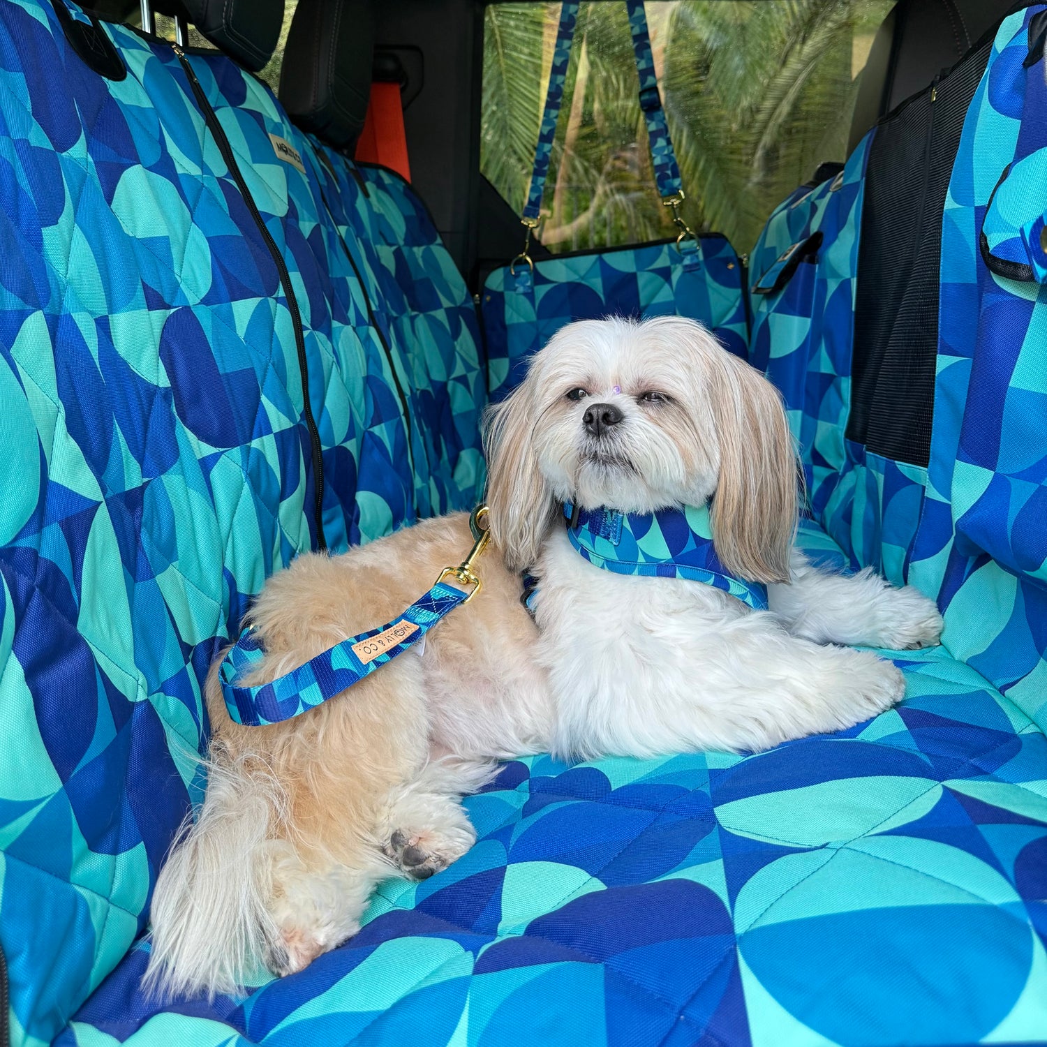 Milos - Dog Seatbelt