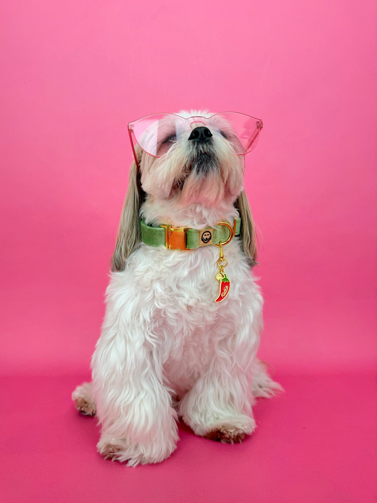 Hottie - Collar Charm