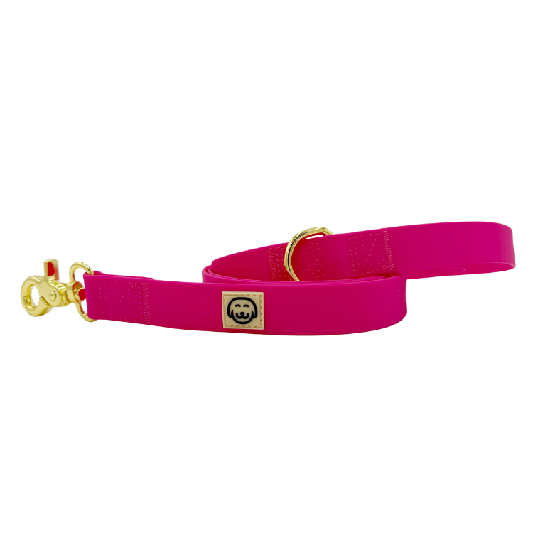 Fuchsia - Splashproof Dog Leash