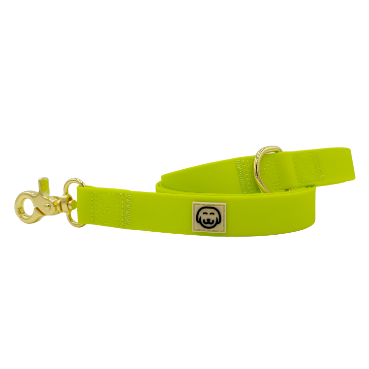 Glowstick - Splashproof Dog Leash