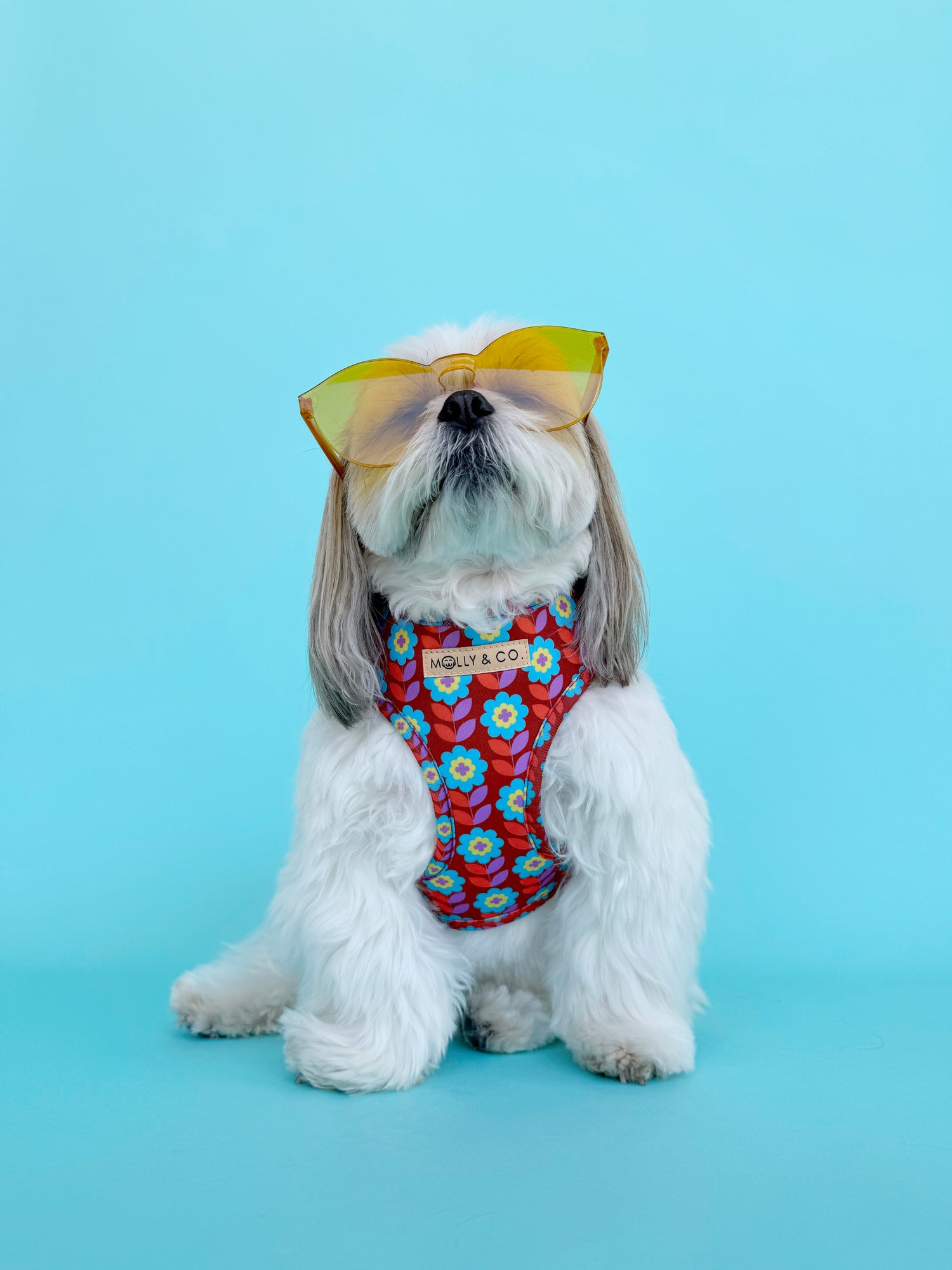 Poppy - Adjustable Dog Harness