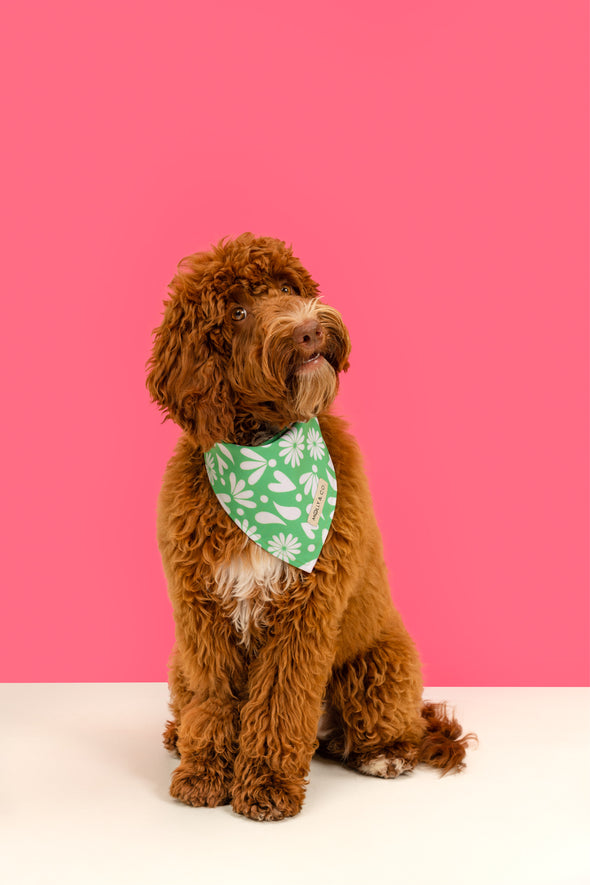 Petals - Reversible Dog Bandana