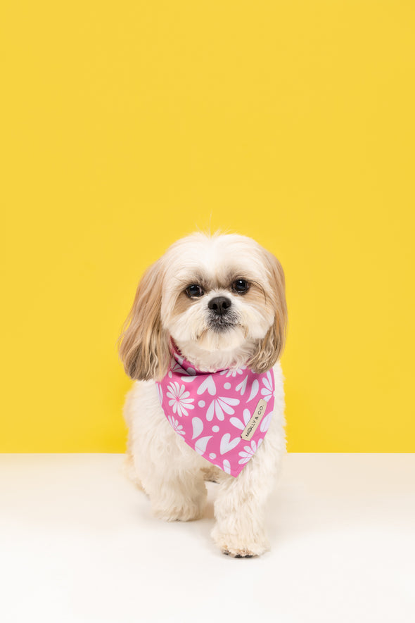 Petals - Reversible Dog Bandana