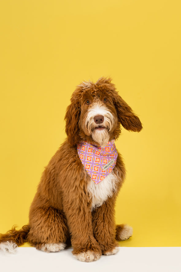 The Gem - Reversible Dog Bandana