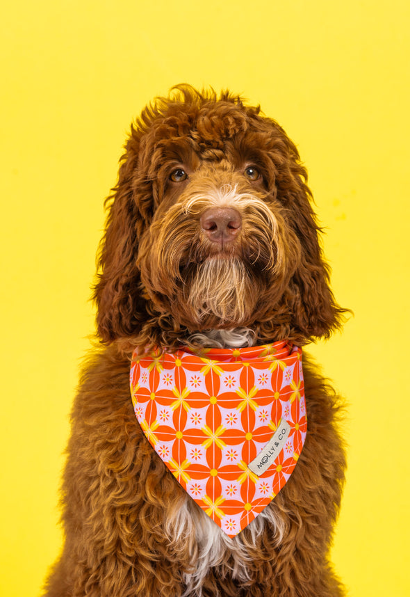 The Gem - Reversible Dog Bandana