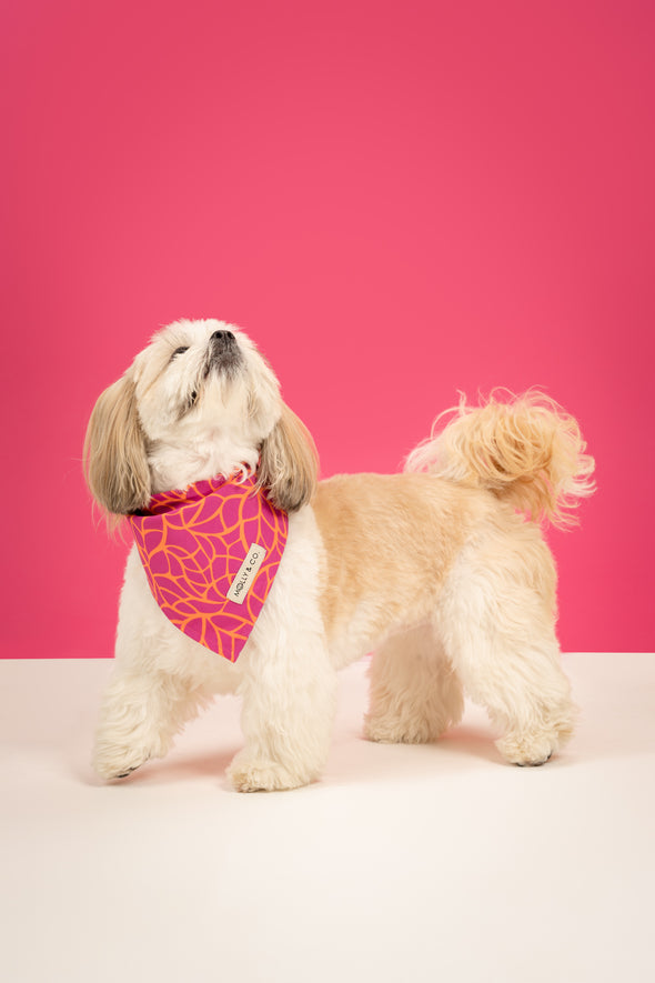 Magenta Leaves - Reversible Dog Bandana