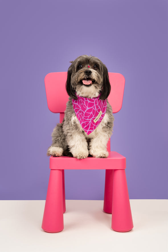 Magenta Leaves - Reversible Dog Bandana