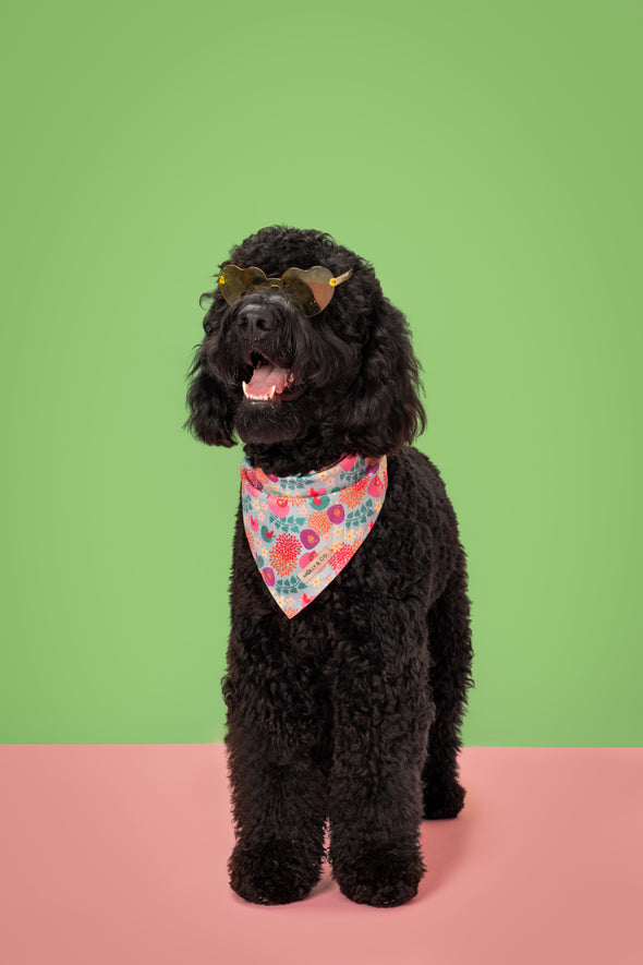 Gardenia - Reversible Dog Bandana