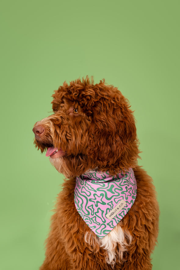 Seaweed - Reversible Dog Bandana - FINAL