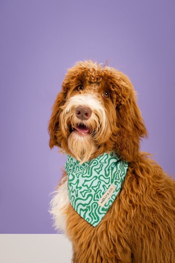 Seaweed - Reversible Dog Bandana - FINAL