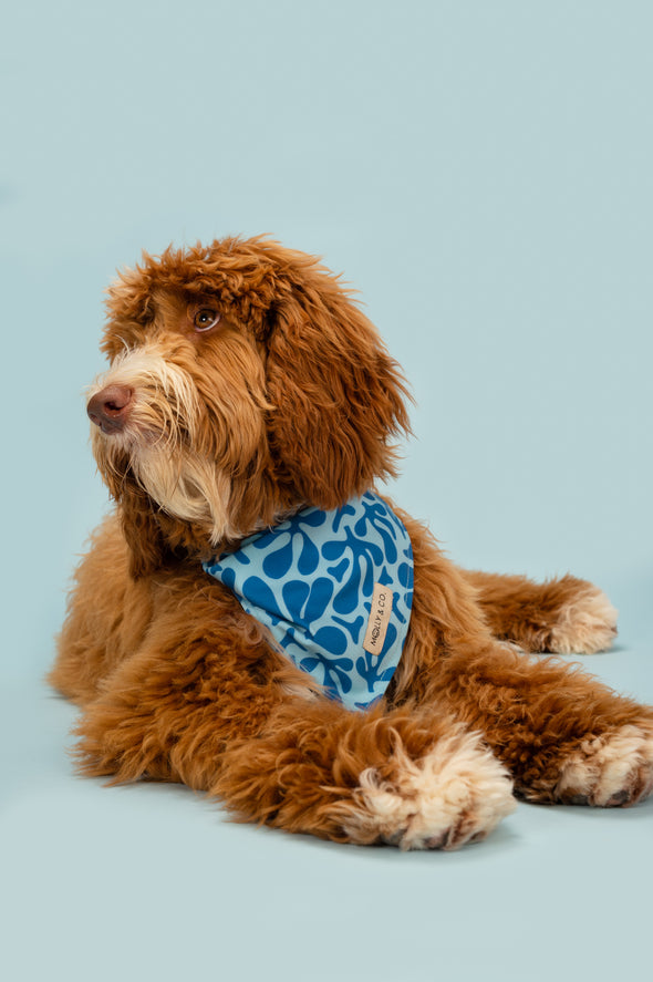 Blue Marina - Dog Bandana