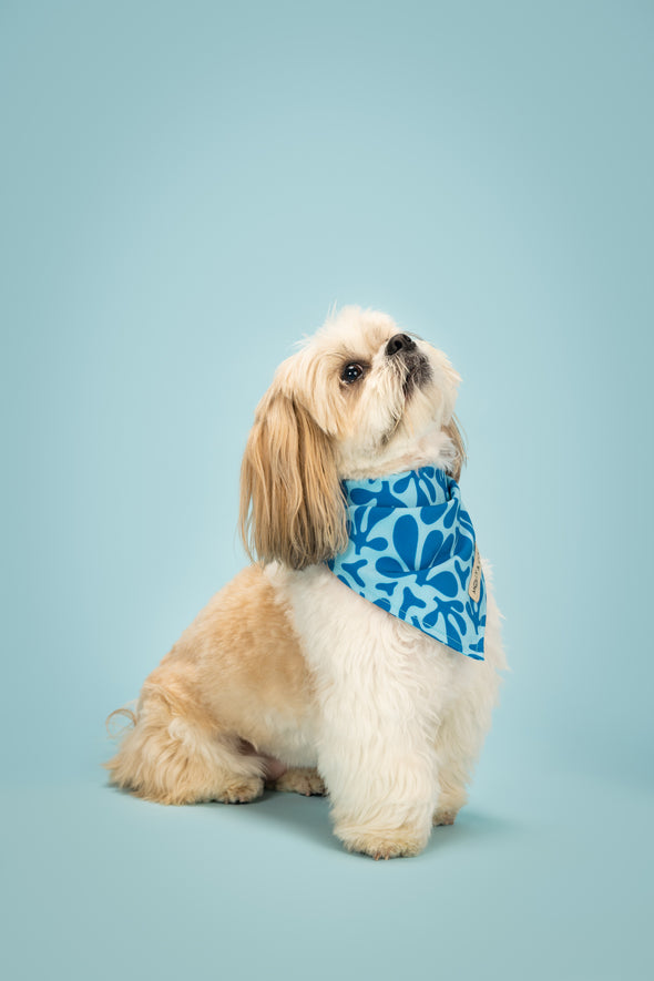 Blue Marina - Dog Bandana