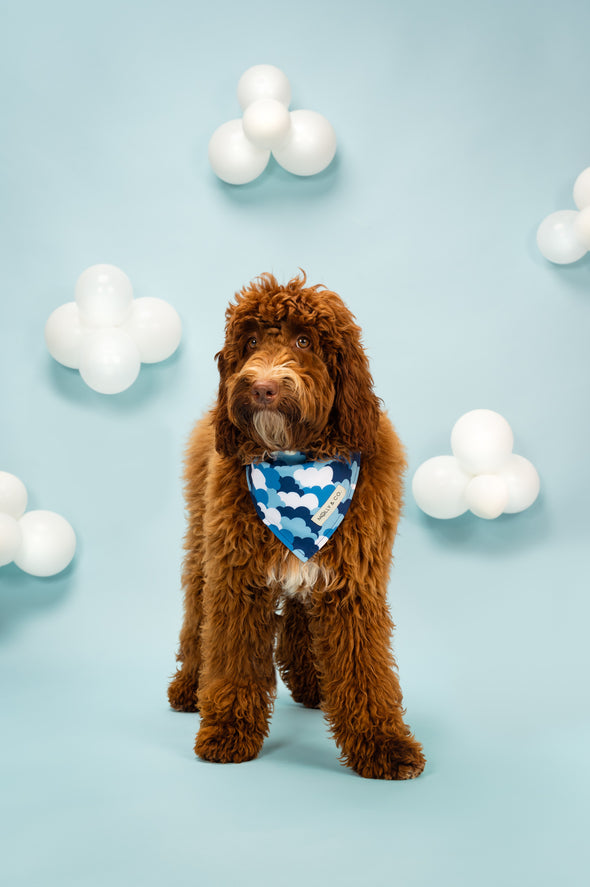 Clouds - Dog Bandana