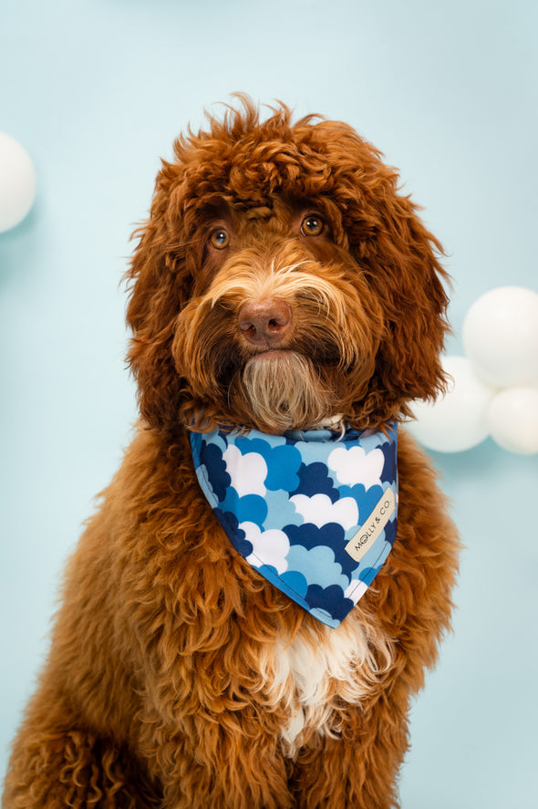 Clouds - Dog Bandana