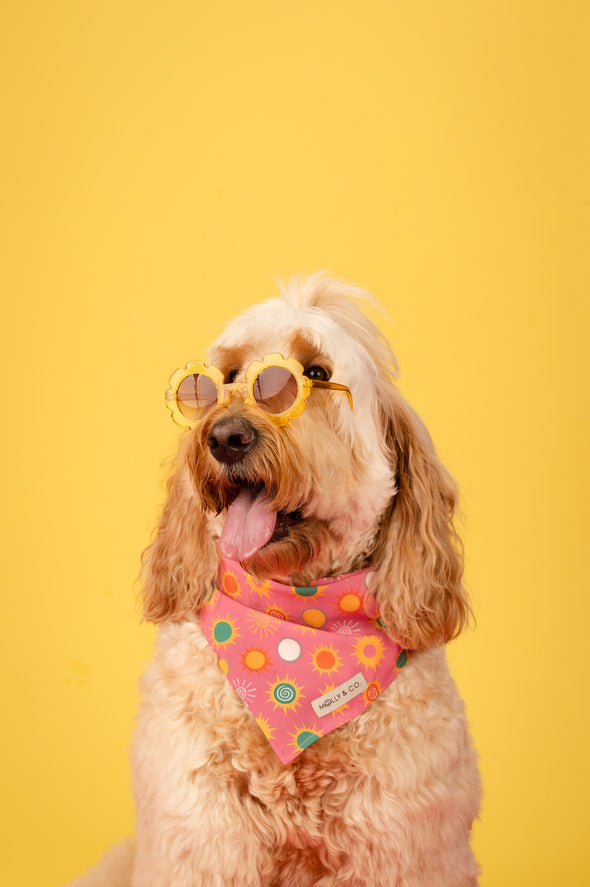 Shine Bright - Reversible Dog Bandana