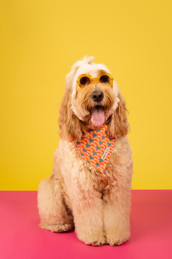 Shine Bright - Reversible Dog Bandana