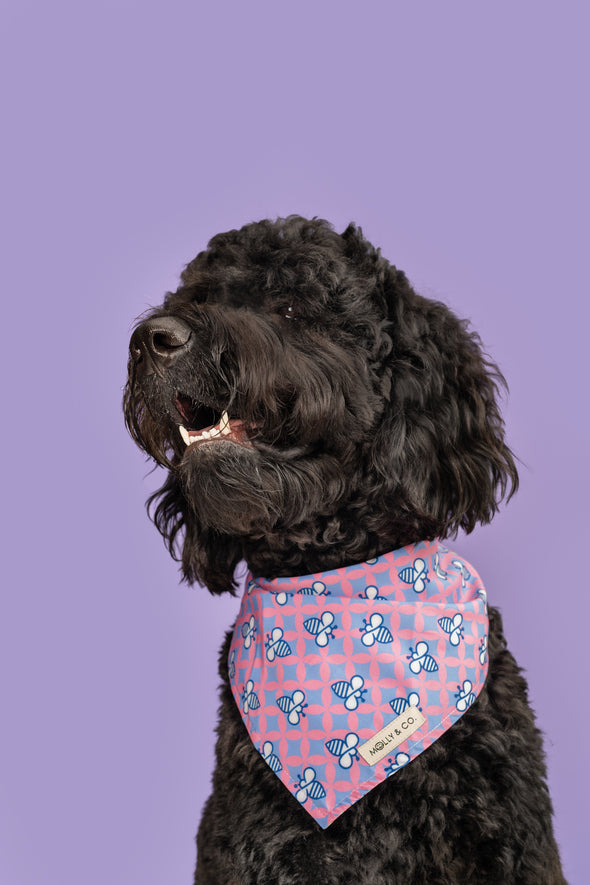 Queen Bee - Reversible Dog Bandana