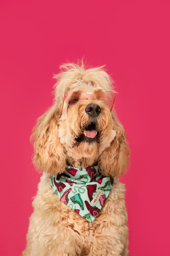 Molly Kicks - Reversible Dog Bandana