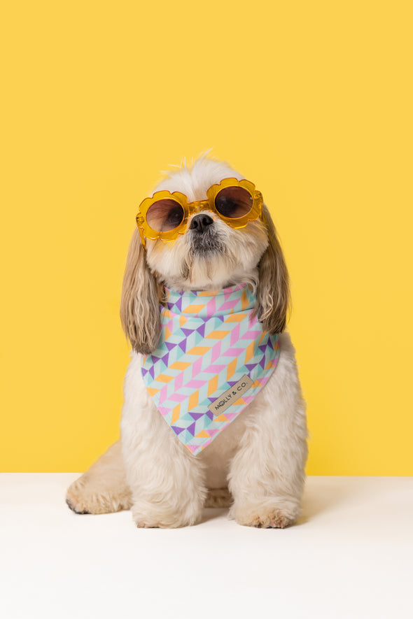 Aurora - Reversible Dog Bandana