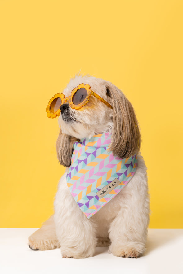 Aurora - Reversible Dog Bandana