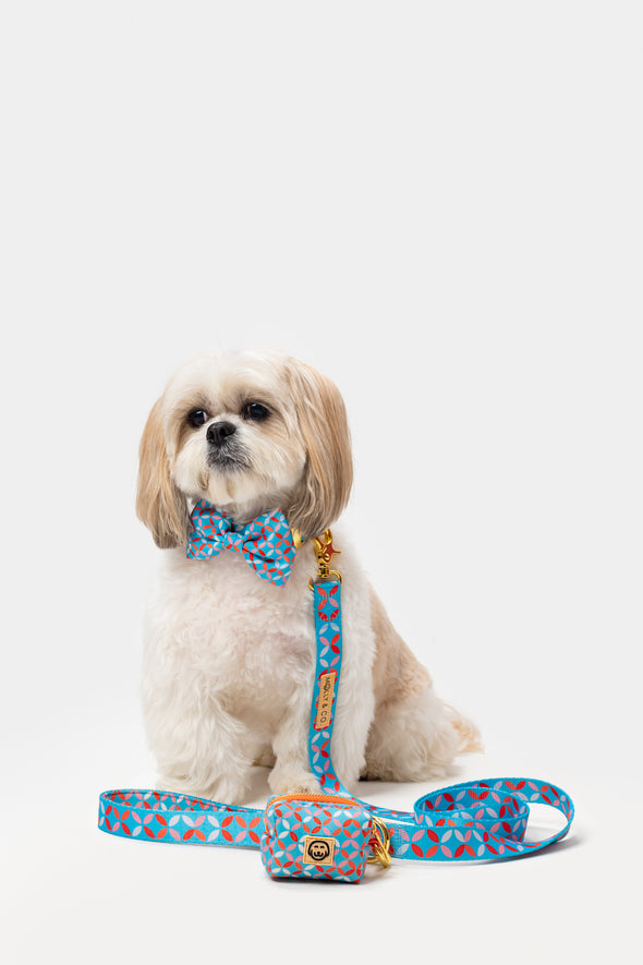 Santorini - Dog Bowtie - FINAL SALE