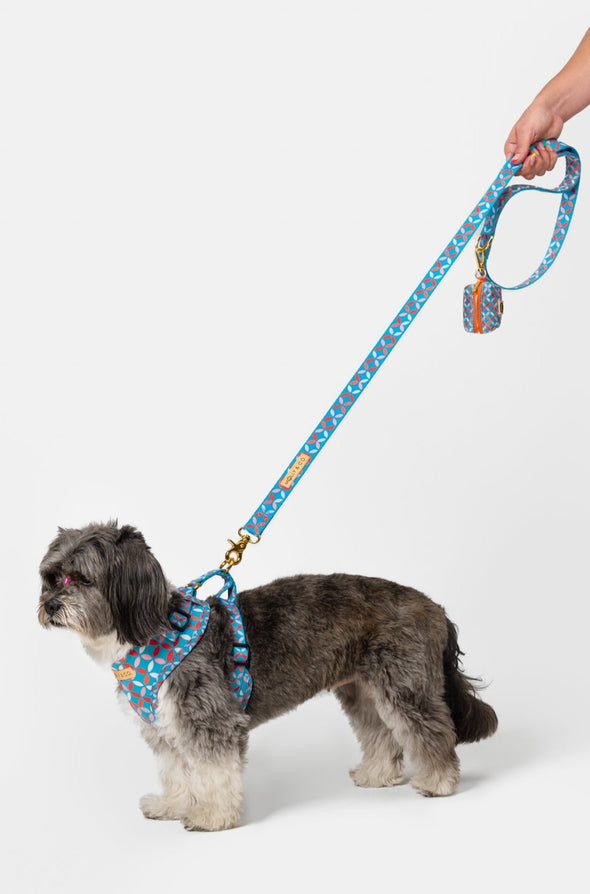 Santorini - Dog Leash