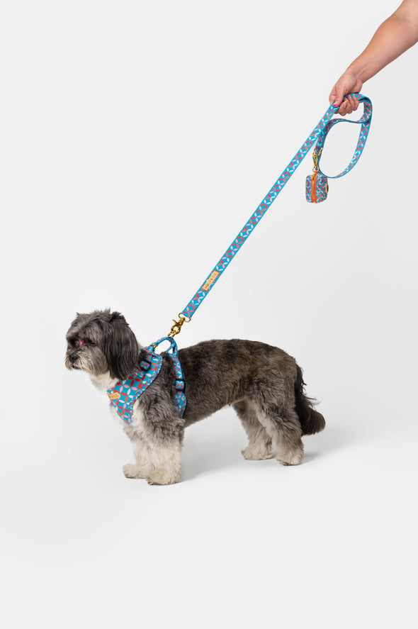 Santorini - Adjustable Dog Harness - FINAL SALE