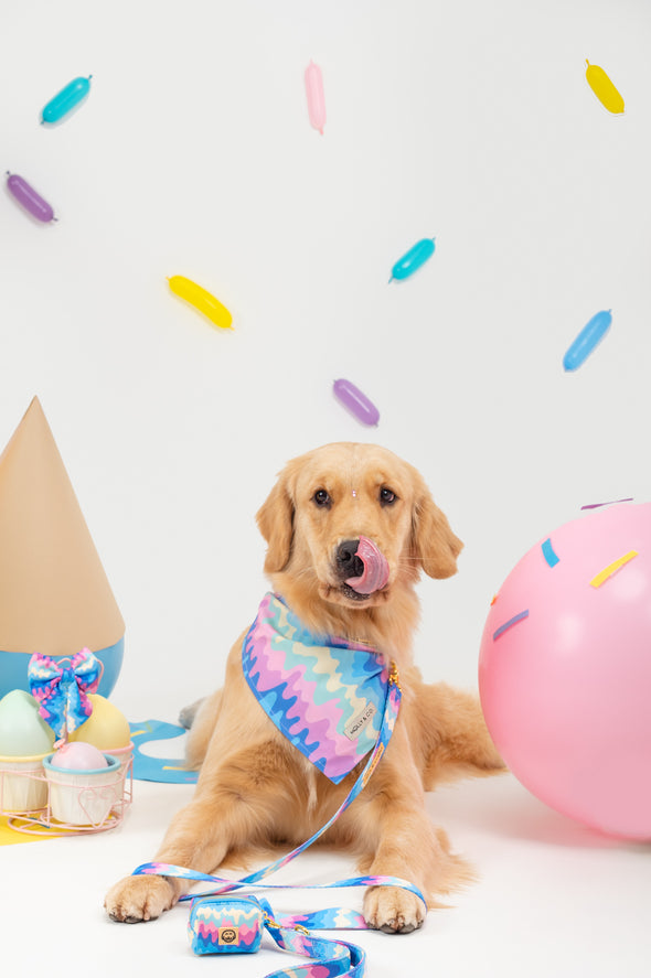 Ice Cream - Reversible Dog Bandana