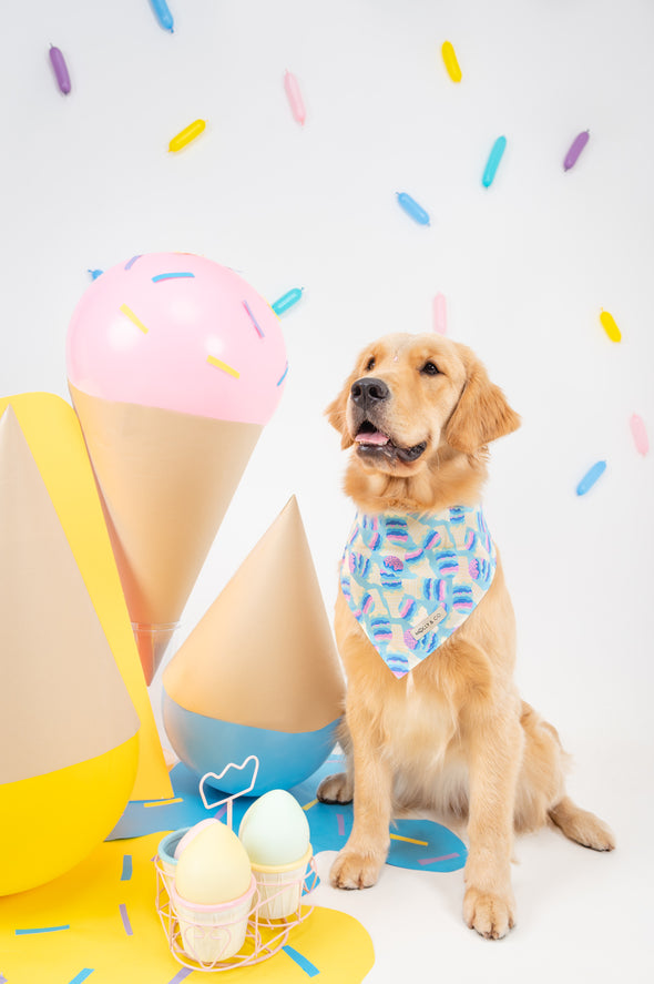 Ice Cream - Reversible Dog Bandana